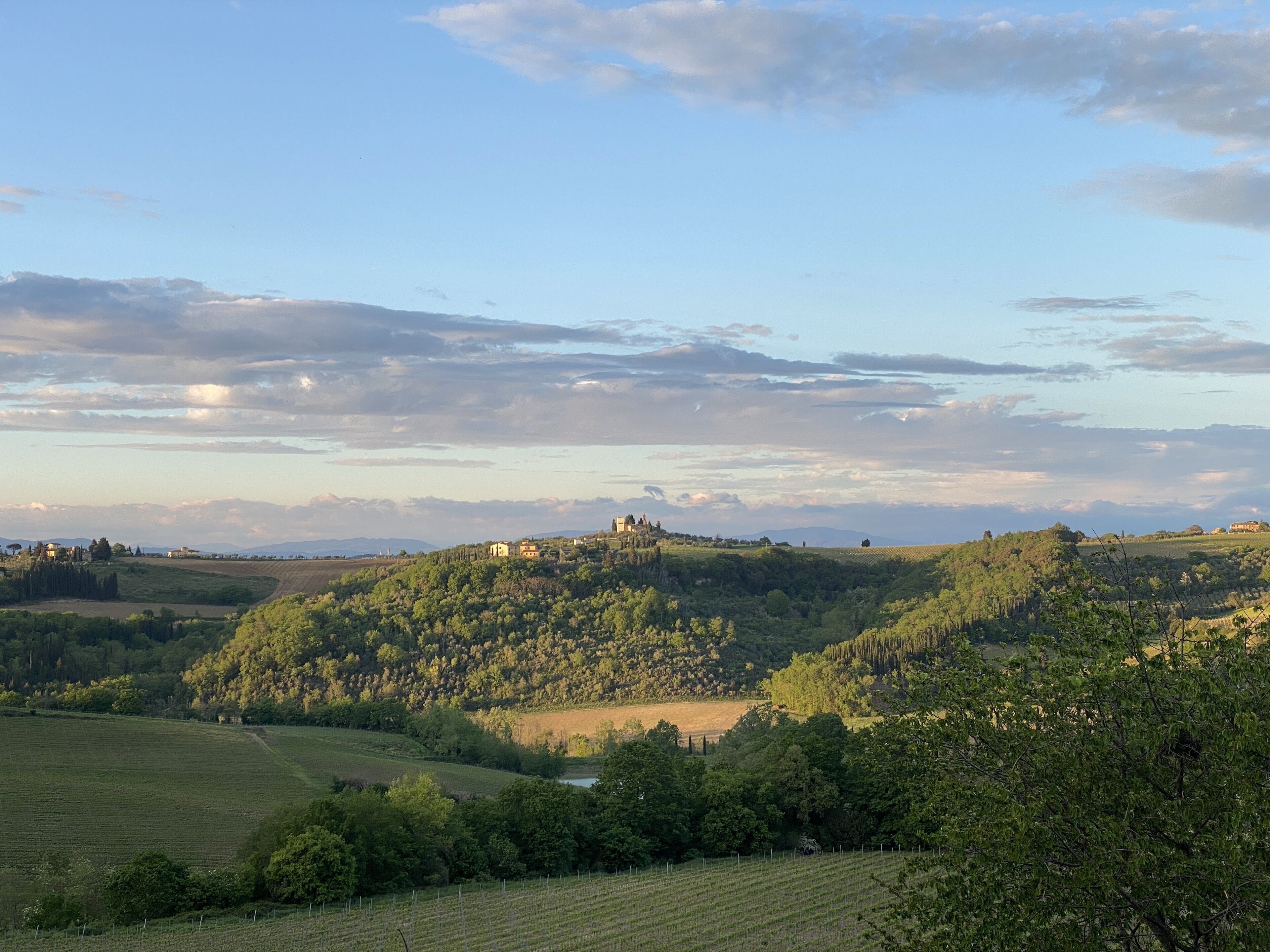 Weinlandschaft mit sanften Hügeln, einer entfernten, schlossartigen Struktur und blauem Himmel.
