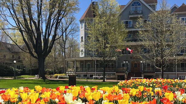 Een veld tulpen voor een gebouw met een balkon en een vlag.