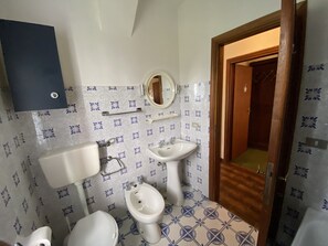 Hair dryer, bidet, towels, soap