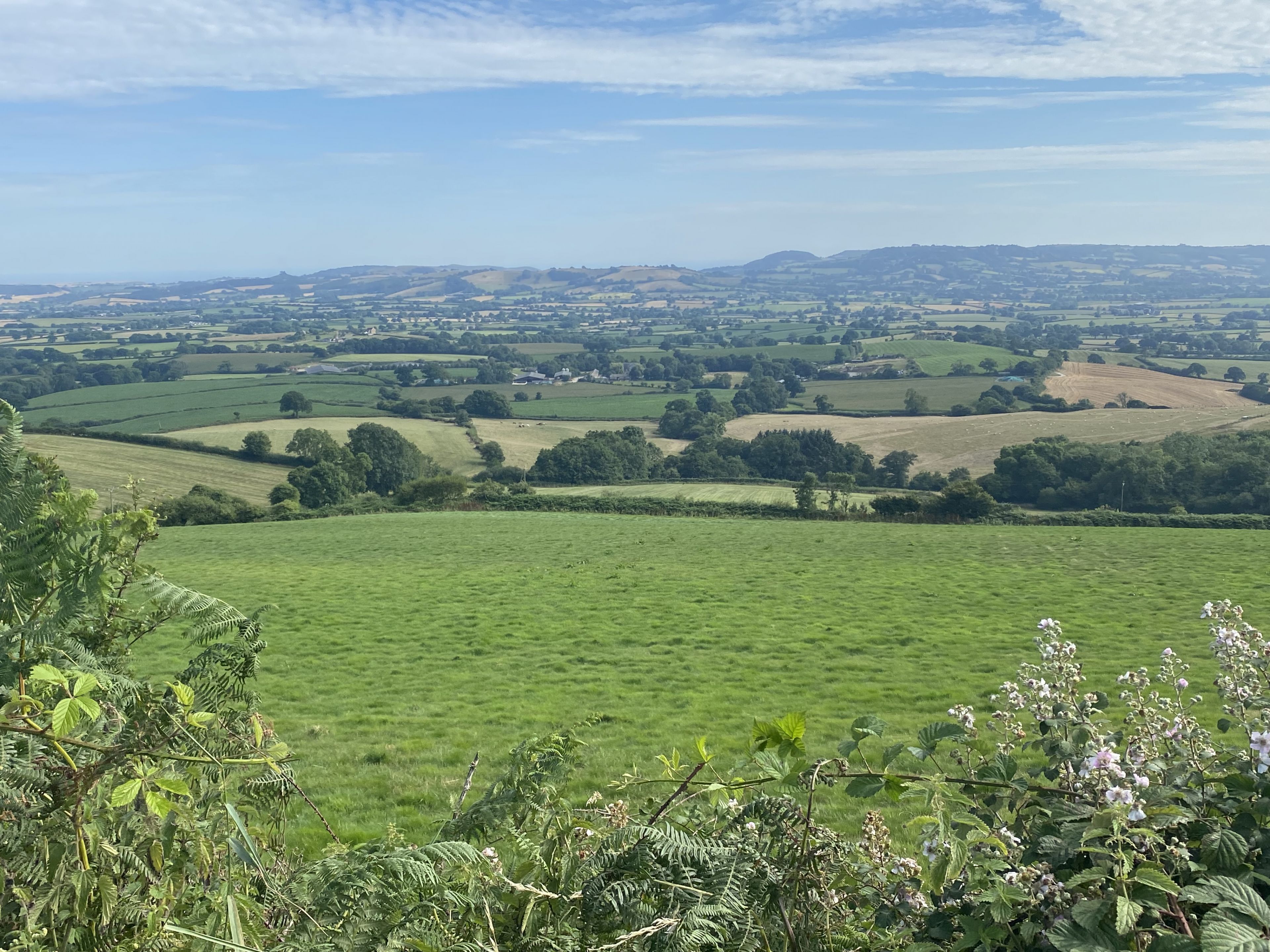 A panoramic view of a rural landscape with rolling hills, fields, and scattered trees.
