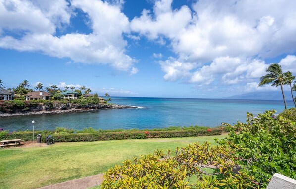 A coastal view with a clear sky, a calm sea, and a grassy area with a bench and trash bin.