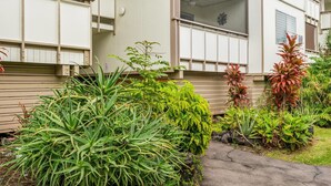 A residential building with a beige exterior, multiple windows, and a small garden with various plants.