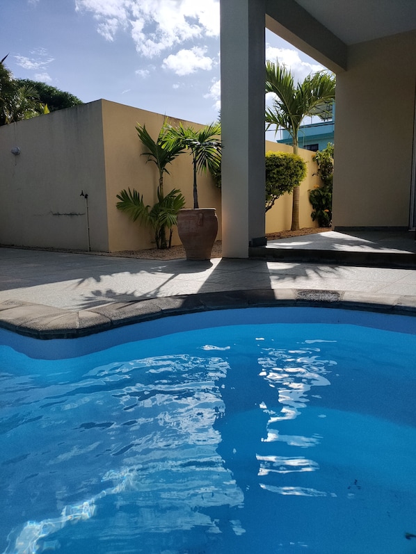 A swimming pool with a clear blue water surface, surrounded by a beige wall and palm trees.