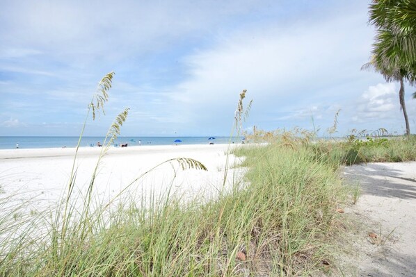 Playa en los alrededores 