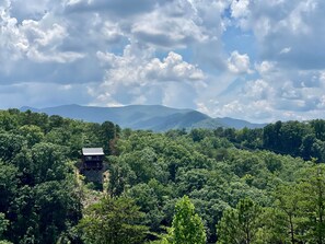 Miscellaneous - Bearly Behaving 2 Bedroom Cabin by RedAwning (Sevierville)