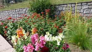 Um jardim com várias flores e um muro de pedra.