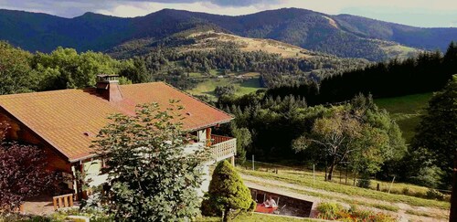 Apartment with terrace in chalet