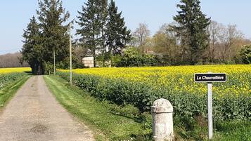 En landevej der løber gennem et marker med gule blomster, med et skilt der viser "La Chauvelliere".