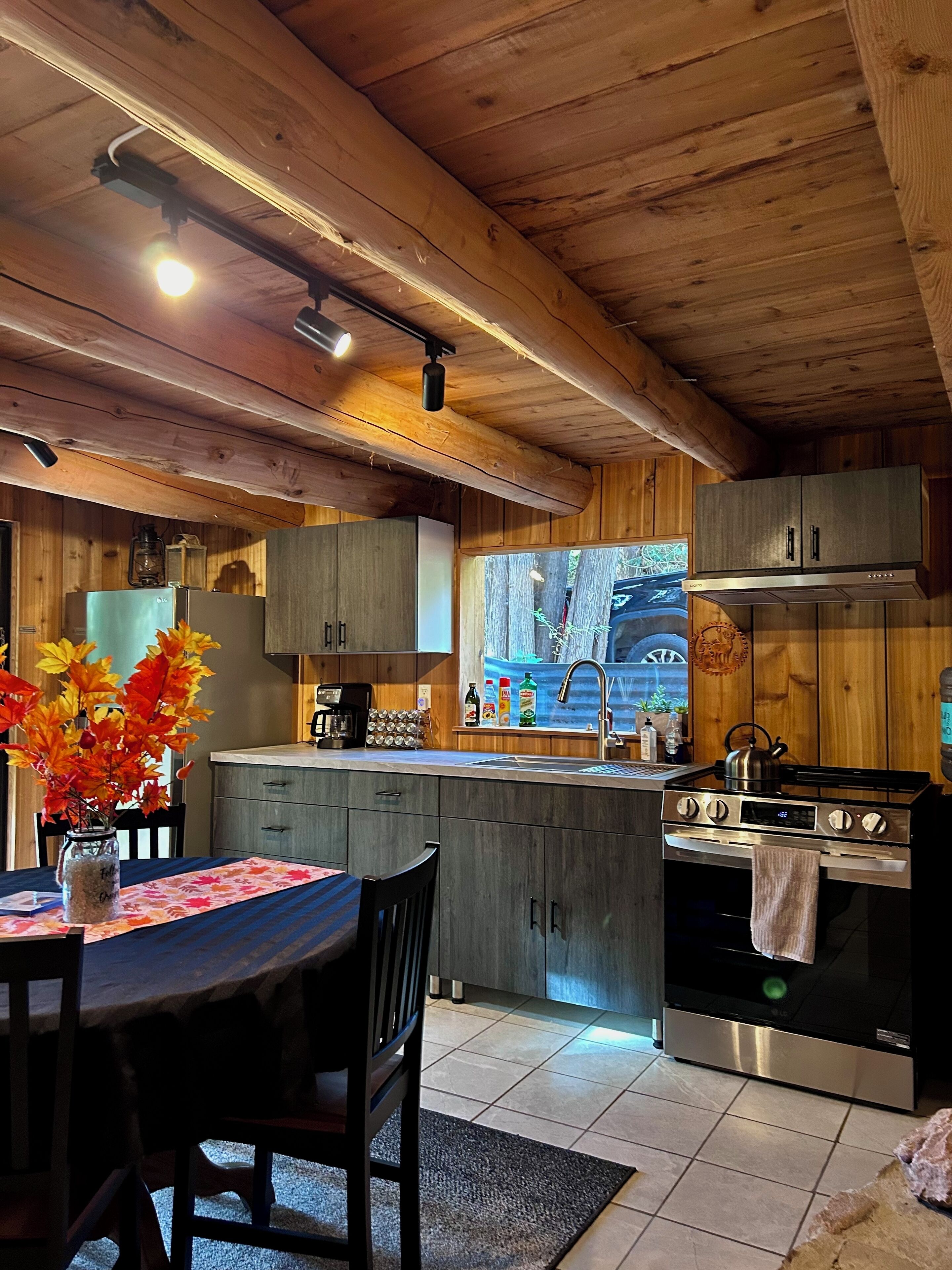 Fridge, oven, stovetop, coffee/tea maker