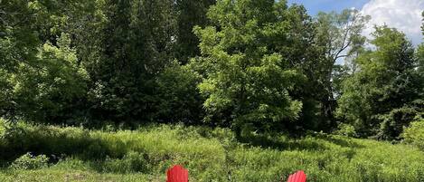 Un área de descanso circular con cuatro sillas Adirondack rojas alrededor de un brasero central, ubicada sobre un suelo de grava con vegetación y árboles circundantes bajo un cielo despejado.