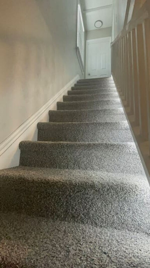 Un escalier dont les marches sont recouvertes de moquette, menant à une porte.
