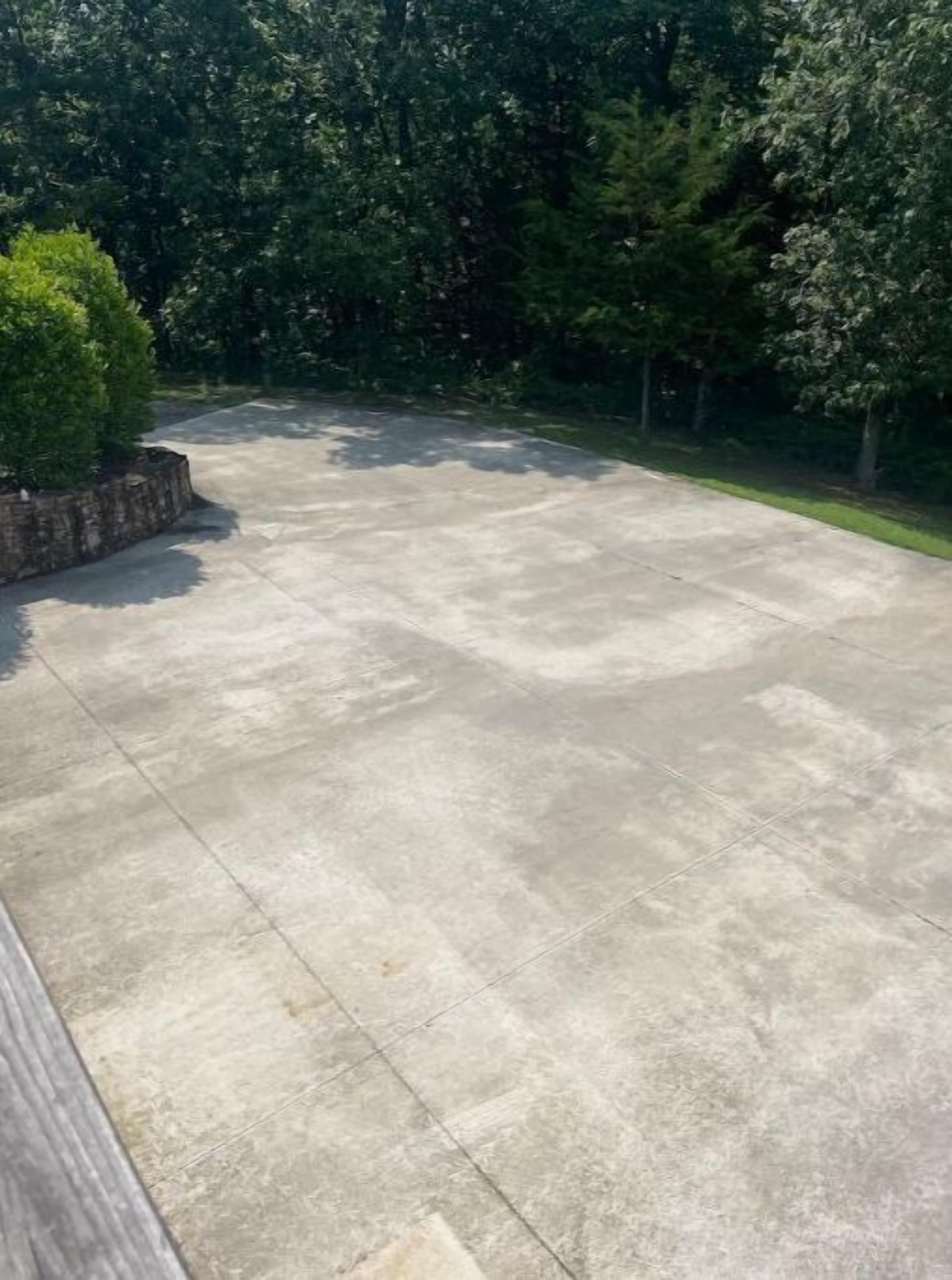 Betoninen terassialue, jossa on kivireunus ja pieni puu.