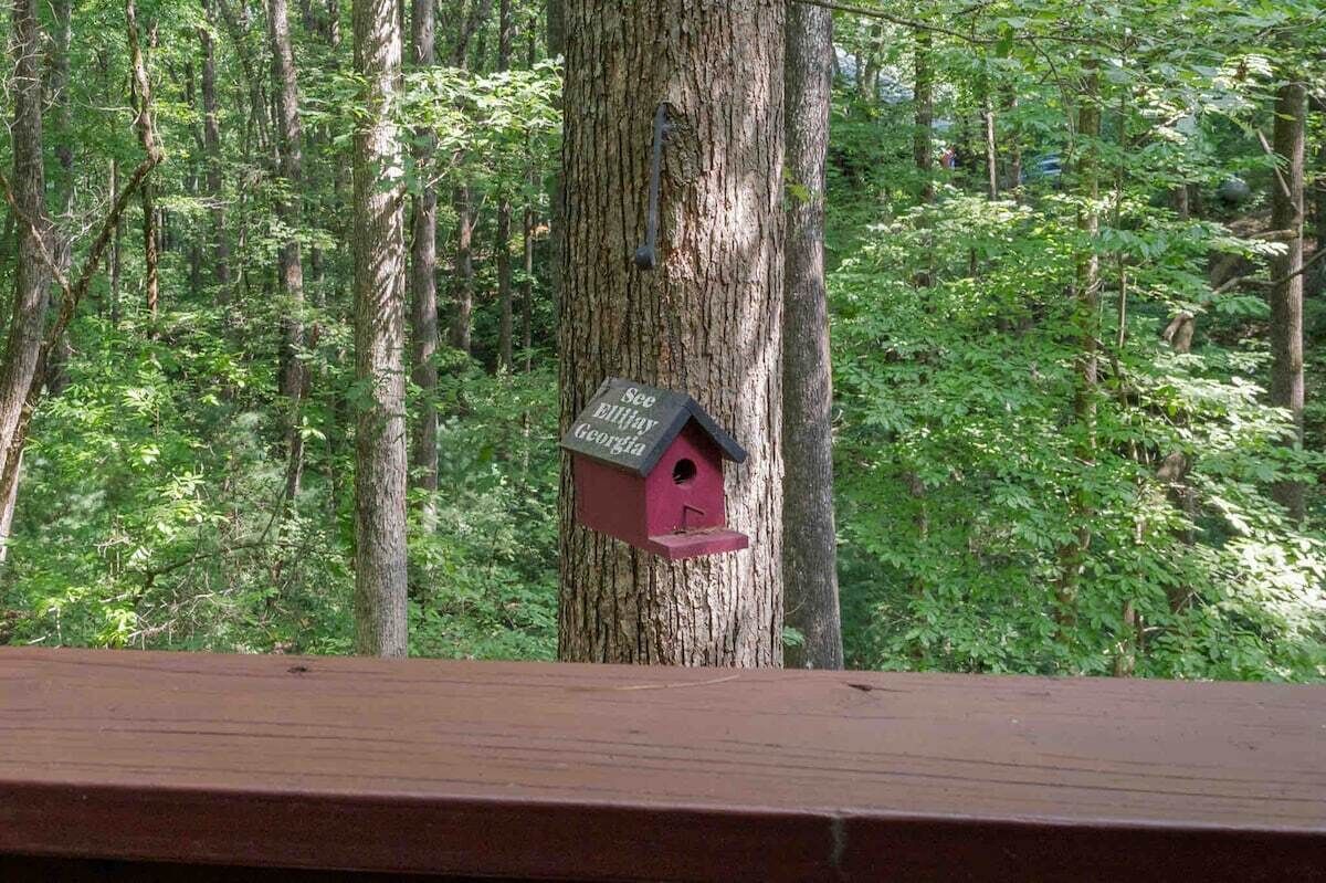 A birdhouse mounted on a tree in a forested area.
