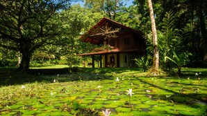 Een houten huis met veranda, omringd door weelderige begroeiing en een vijver met waterlelies.