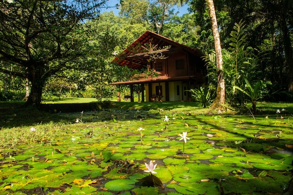 A wooden house with a porch, surrounded by lush greenery and a pond with lily pads and water lilies.
