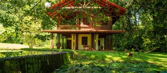 Casa Ranas, Osa, Gorgeous Home on Edge of Private 32acres of Forest, Easy Access