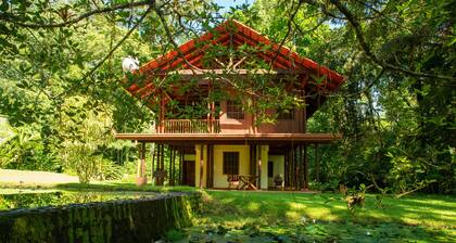 Casa Ranas, Osa, gorgeous home on edge of private 32acres of forest, easy access