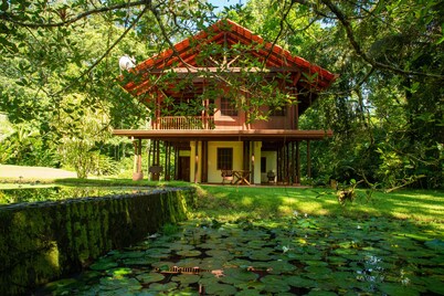 Casa Ranas, Osa, Gorgeous Home on Edge of Private 32acres of Forest, Easy Access