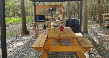 Escape from it all. Woods, birds, campfire and fresh air.