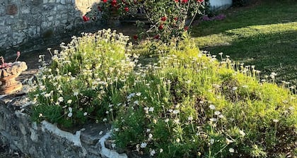 Bed and Breakfast Casale la Civetta