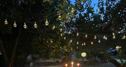 Bed and Breakfast Casale la Civetta