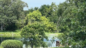 Ein gepflegter Rasen mit einem kleinen Baum und einem Teich im Hintergrund.