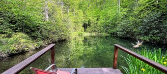Beautiful Brevard Waterfall Home with Private Nature Trails, Dog Friendly