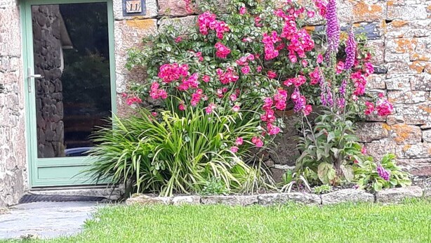 En byggnad av sten med en grön dörr, nummer 11, och en trädgård med rosa blommor och gröna växter.