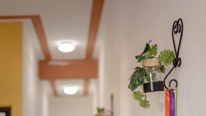 A hallway with a plant hanging from a black metal bracket, a wooden ceiling, and a door at the end.