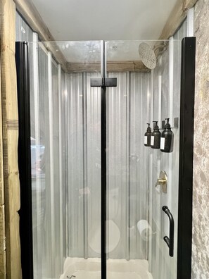 Regadera, toallas, jabón, shampoo 