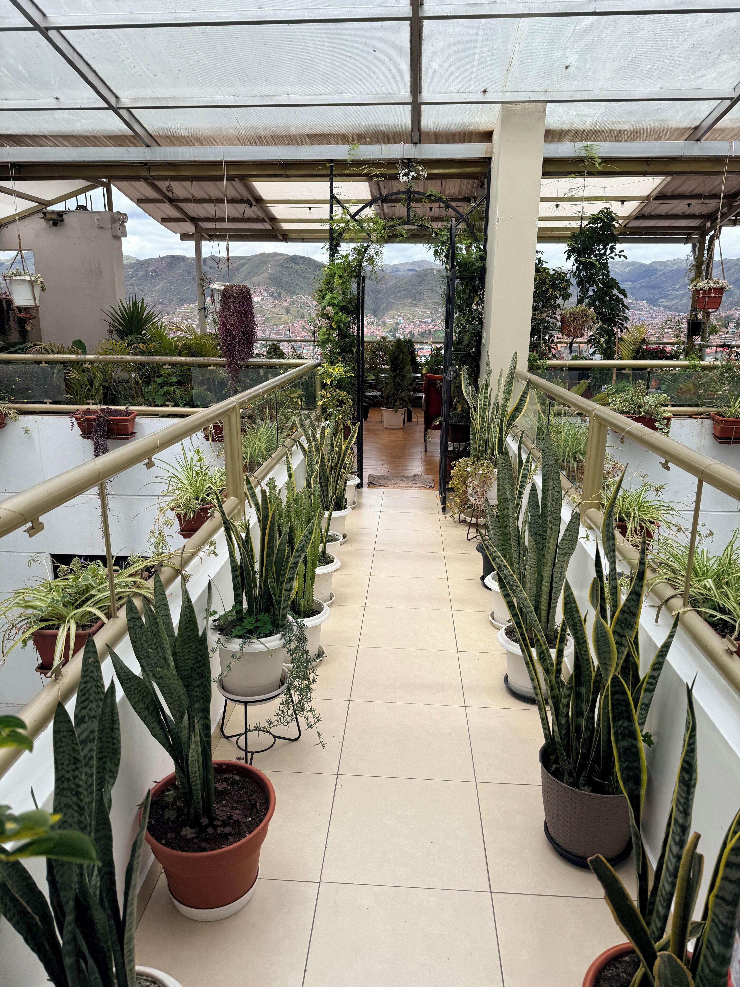A greenhouse with potted plants arranged along a central walkway, leading to a seating area with a view of a cityscape and mountains.