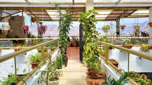 Terrace/patio - Hotel Inkasabios Cusco (Cusco)