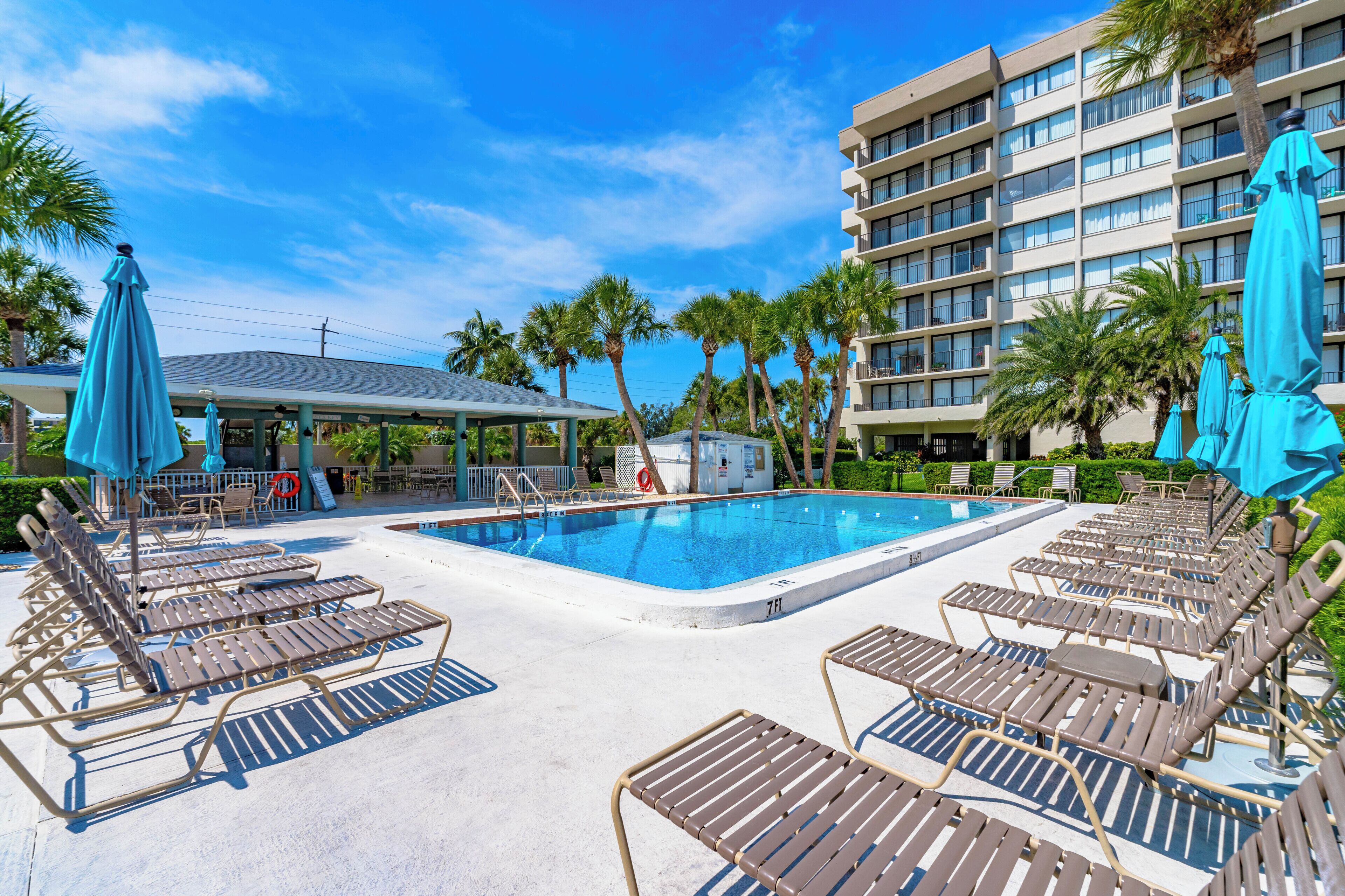 Outdoor pool, pool loungers