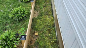 Un jardín con un enrejado de madera, una casa blanca con contraventanas azules y diversas plantas verdes.