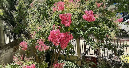 F3 Grenier Maison Centre Ville Massy