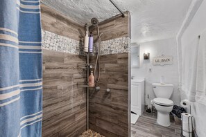 Shower, hair dryer, bidet, towels - 5 minute walking to downtown, NAU, coffee shops, shopping, parks and more! (Flagstaff)