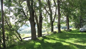 A grassy area with trees and a car parked nearby. - Calm and serenity, a feast for the eyes (Lachamp-Raphaël)