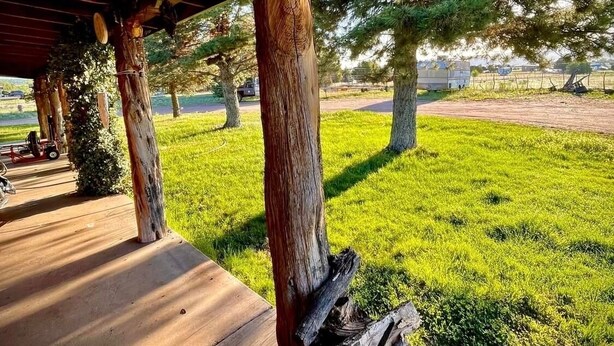 A covered outdoor area with wooden pillars, a wooden deck, and a grassy field with trees in the background. - Mountain Cabin ATV trails, convenient and comfort. Enjoy nature Lots of parking (Young)