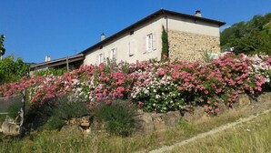 Un edificio de piedra con techo inclinado, rodeado por una colina de flores rosas y blancas.