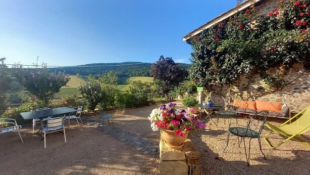 Un patio al aire libre con mesa y sillas, una planta en maceta y un muro de piedra cubierto de plantas trepadoras.