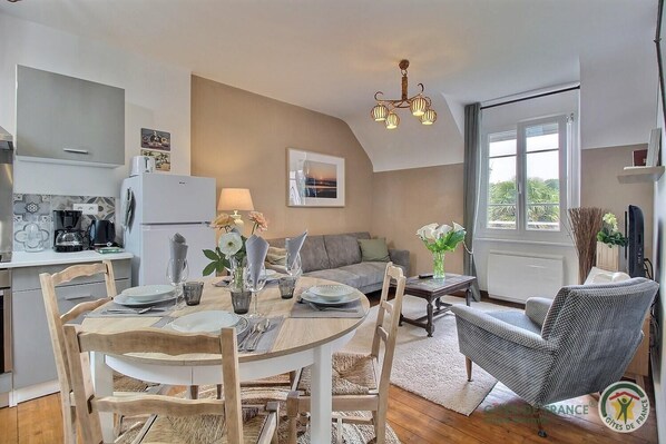 تلفزيون، كُتُب