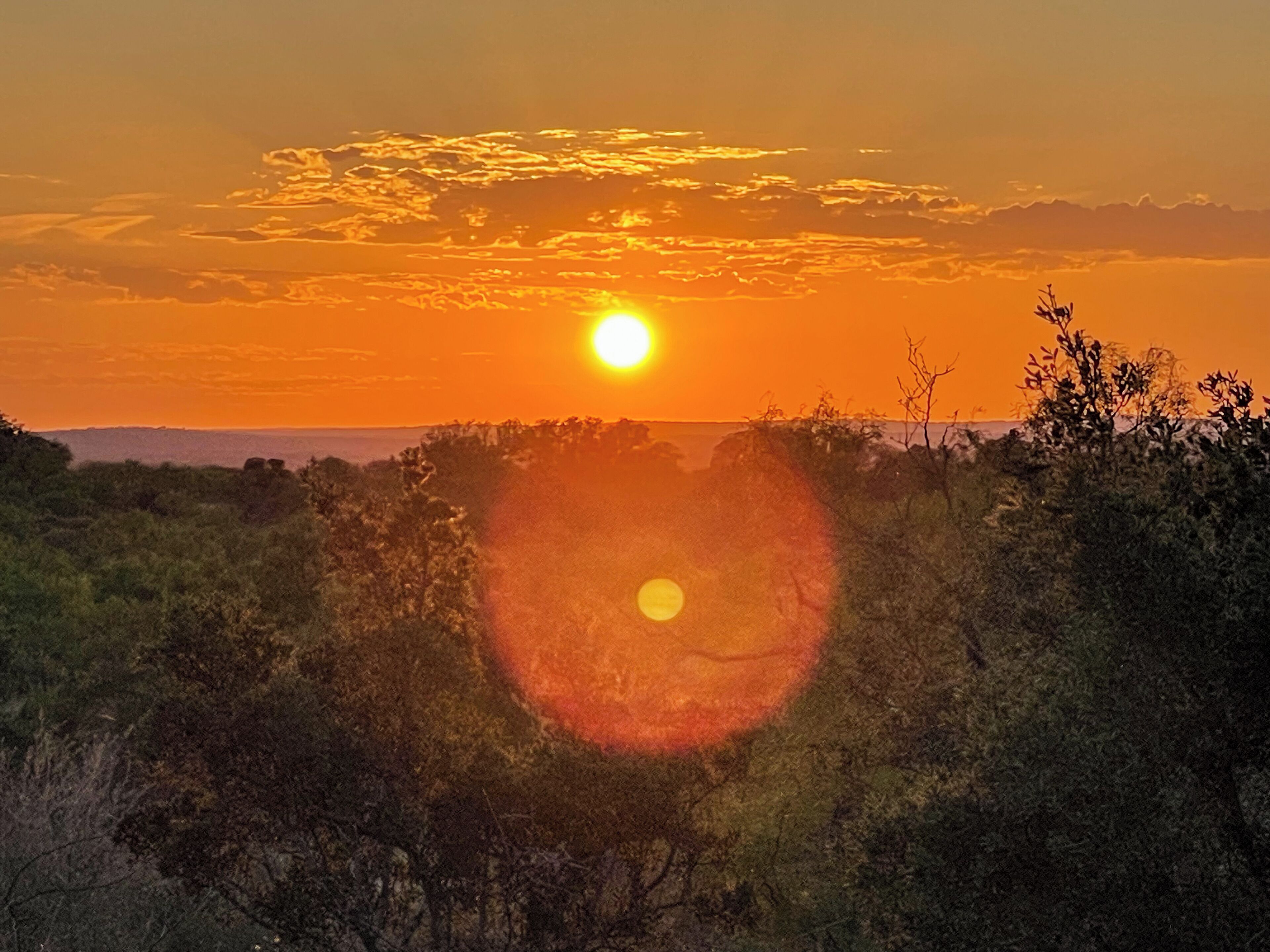 Un atardecer sobre un paisaje con árboles y cielo despejado.