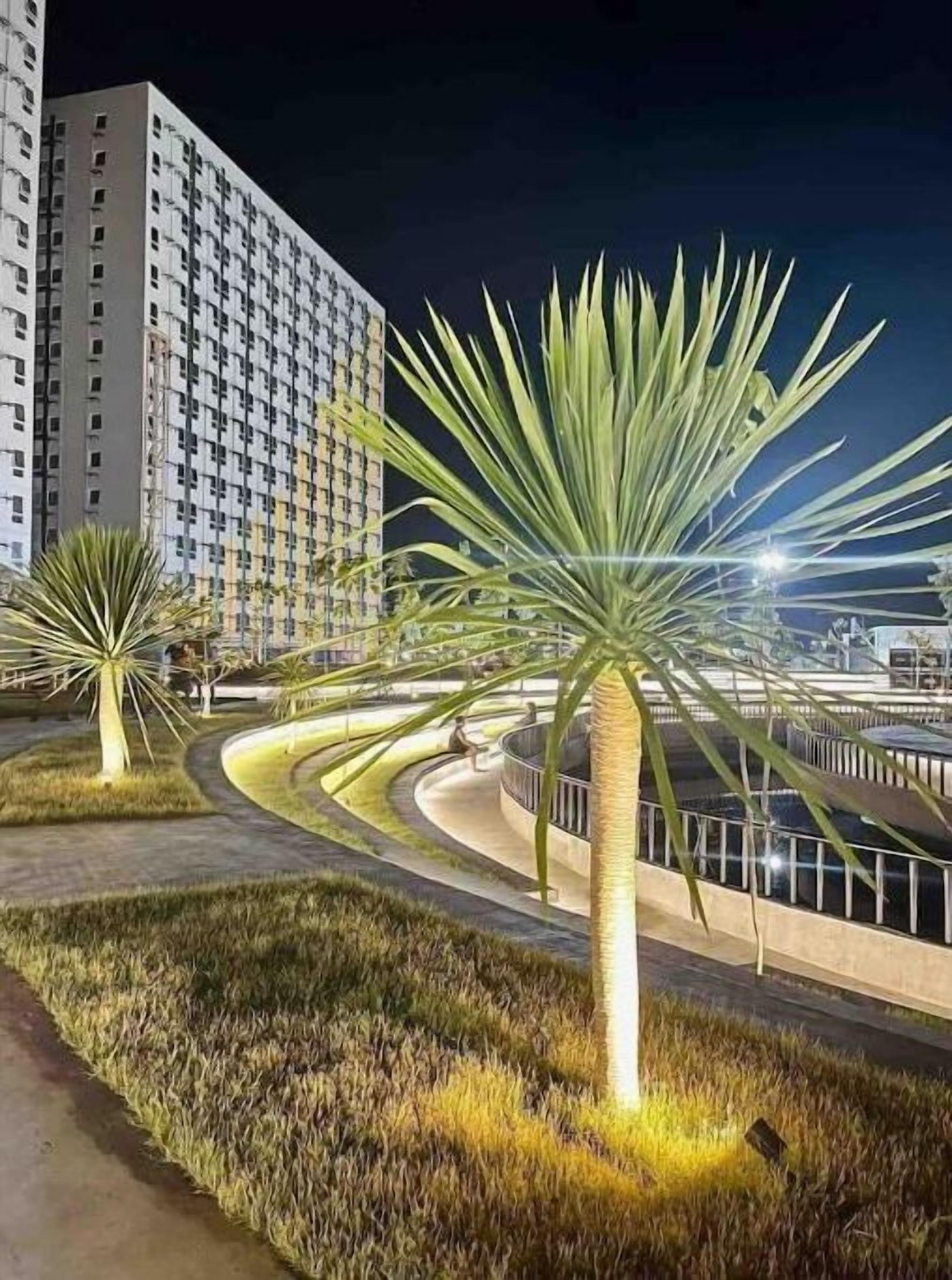 Parco della struttura