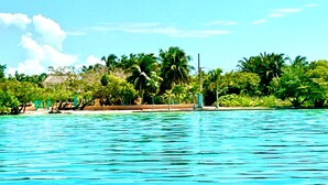 A beach with clear turquoise water, palm trees, and a few beach umbrellas.