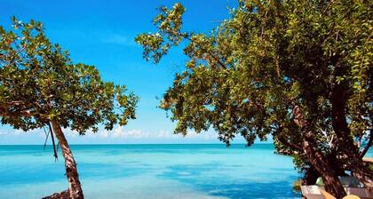 Seafront Tropical Caribbean luxurious home w/pool at Iguana Beach House Belize