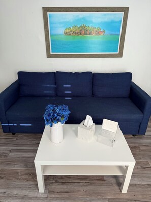 Living area - Private apartment (Miami)