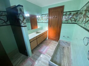 Shower, towels, toilet paper
