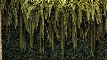 Recepção