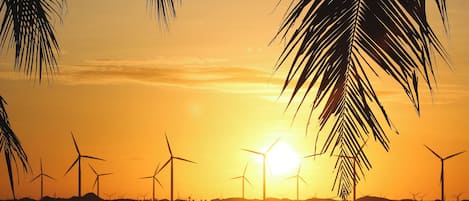 A sunset over a beach with palm trees and wind turbines in the background.