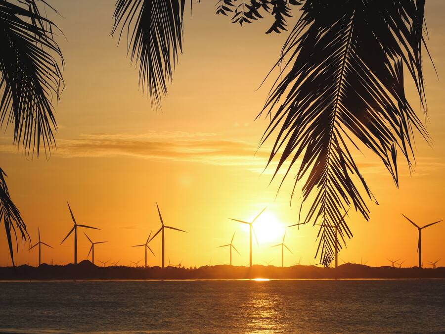A sunset over a beach with palm trees and wind turbines in the background.